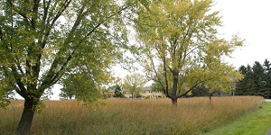 Holy Wisdom Monastery