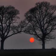 For Peace (Cyprian of Carthage)