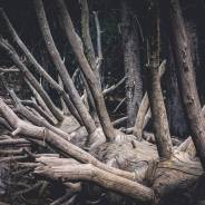 Prayer For Peace And Strength