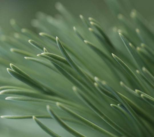 Lessons On Healing Prayer