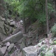 Climb ‘Til Your Dream Comes True