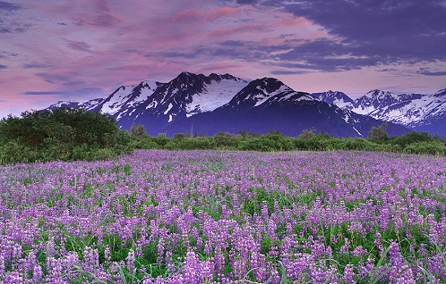 Alaska retreat centers