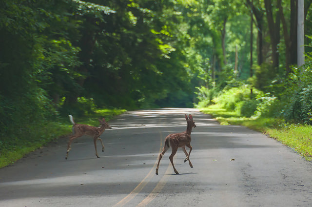 Connecticut retreat centers