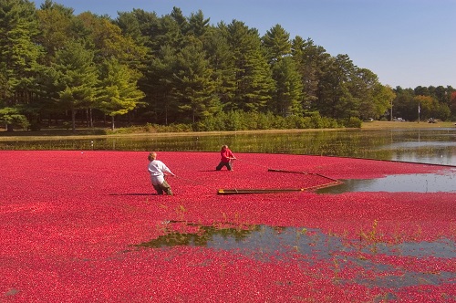 Massachusetts Retreat Centers | Finding Solace